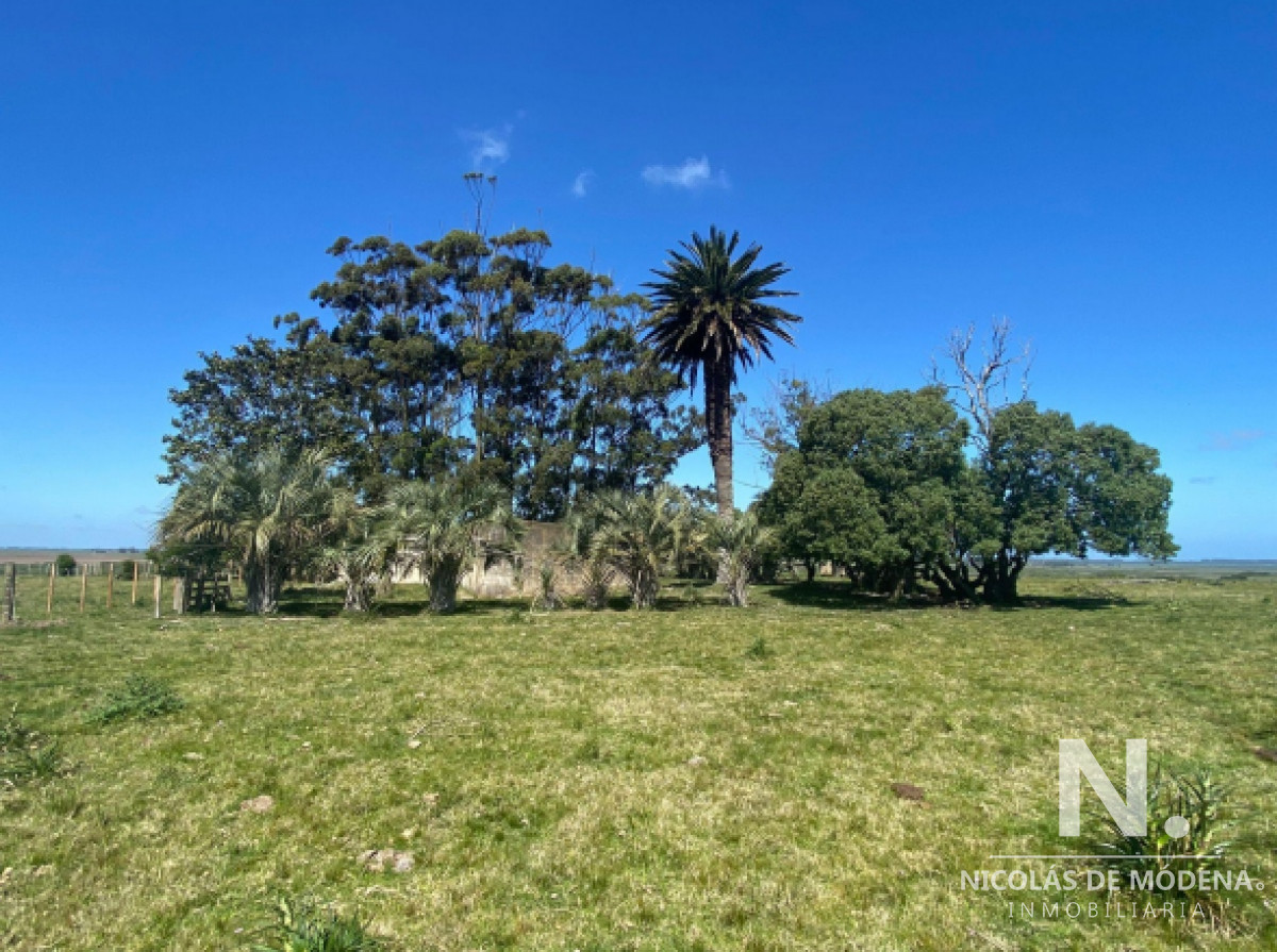 Campo grande en Rocha  Maldonado - GoPunta - Portal Inmobiliario de Punta del Este - Maldonado