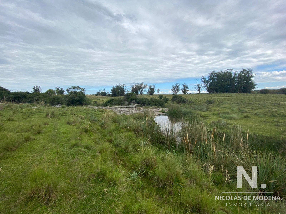 Gran oportunidad de Campo. - GoPunta - Portal Inmobiliario de Punta del Este - Maldonado