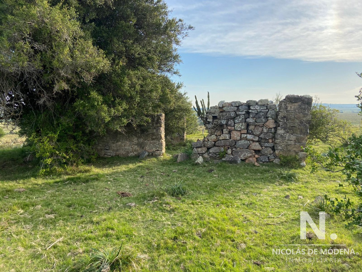 Campo en José Ignacio - GoPunta - Portal Inmobiliario de Punta del Este - Maldonado