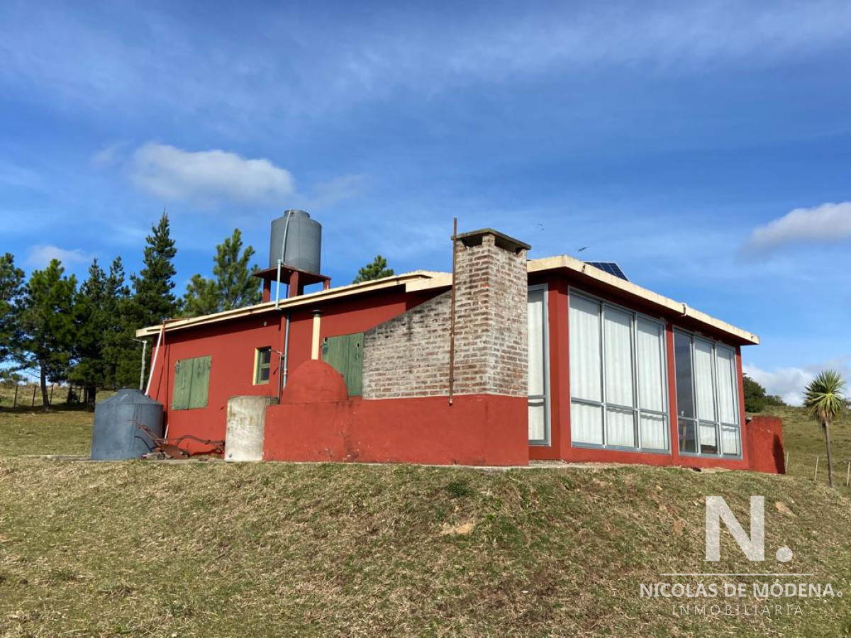 Mataojo - GoPunta - Portal Inmobiliario de Punta del Este - Maldonado