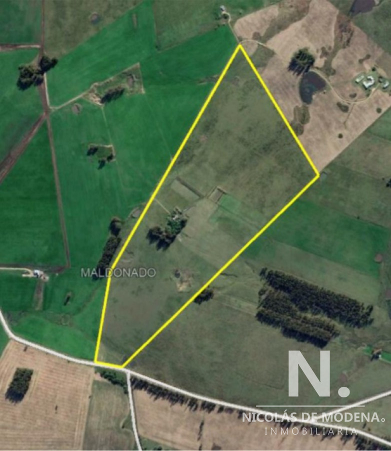 Campo en Manantiales - GoPunta - Portal Inmobiliario de Punta del Este - Maldonado