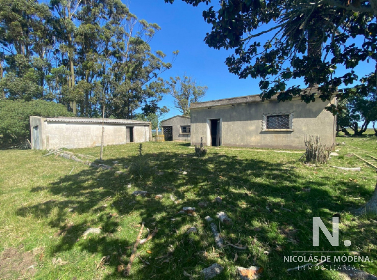 Campo grande en Rocha  Maldonado - GoPunta - Portal Inmobiliario de Punta del Este - Maldonado