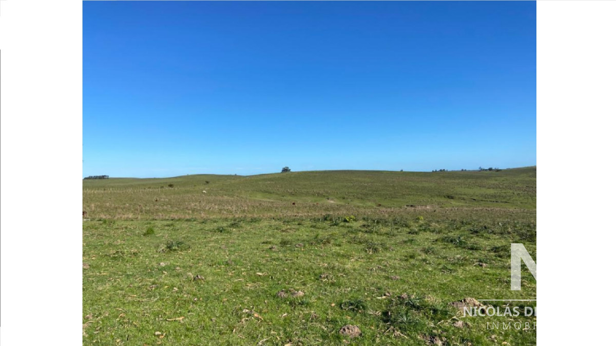 Campo en Garzón, Rocha - GoPunta - Portal Inmobiliario de Punta del Este - Maldonado