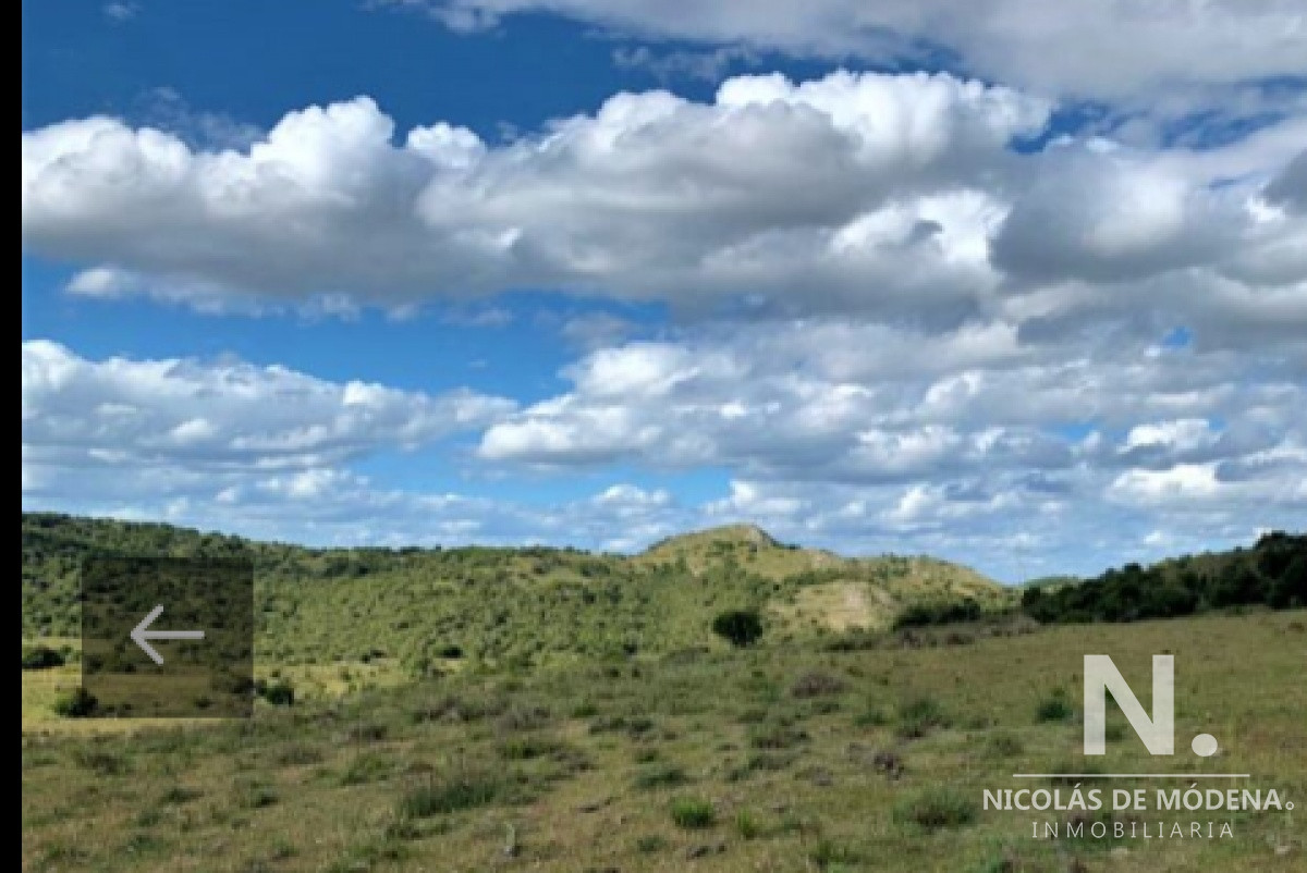 Campo en Maldonado , Aigua, 39 Hectáreas - GoPunta - Portal Inmobiliario de Punta del Este - Maldonado