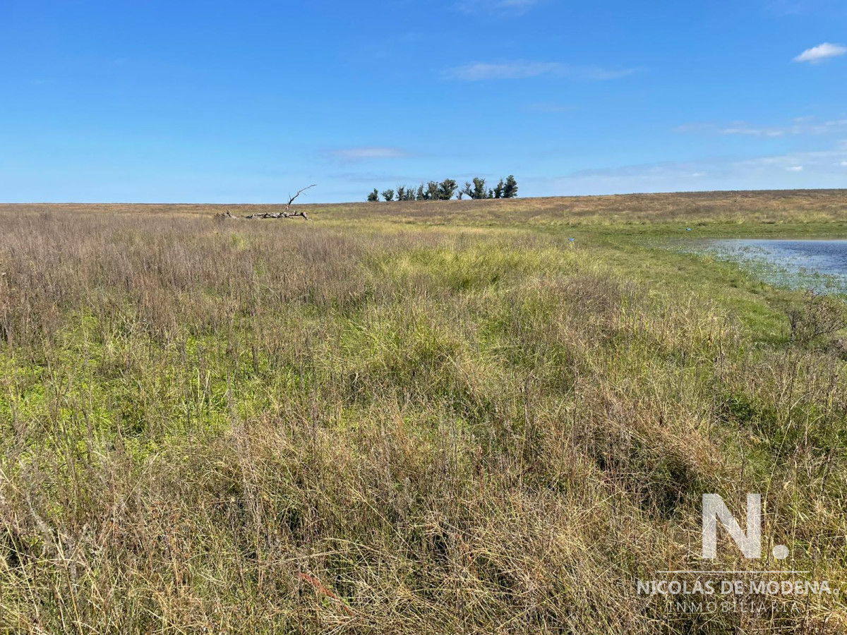 Campo en venta en hermosa zona - GoPunta - Portal Inmobiliario de Punta del Este - Maldonado