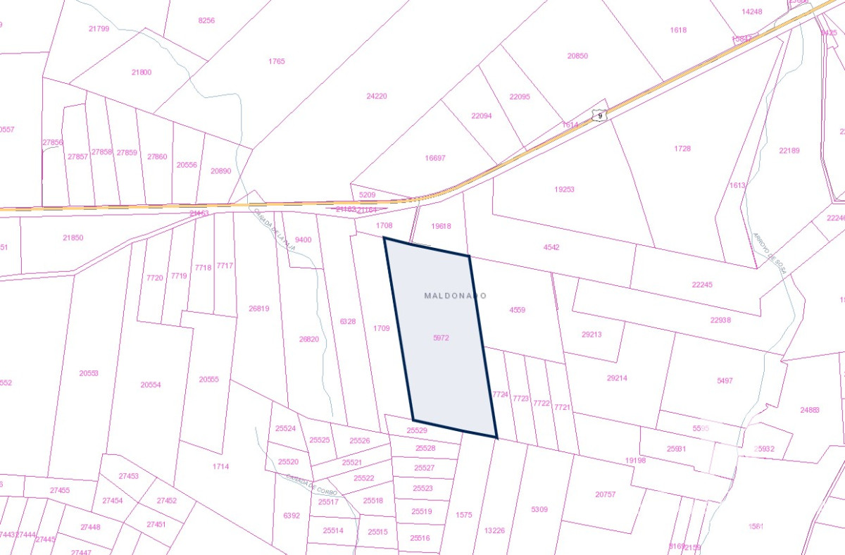 Campo de gran tamaño en la zona de Maldonado - GoPunta - Portal Inmobiliario de Punta del Este - Maldonado