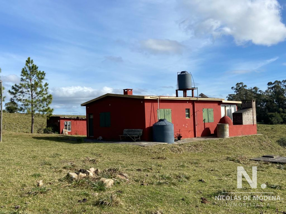 Mataojo - GoPunta - Portal Inmobiliario de Punta del Este - Maldonado
