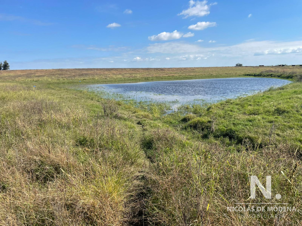 Campo en venta en hermosa zona - GoPunta - Portal Inmobiliario de Punta del Este - Maldonado