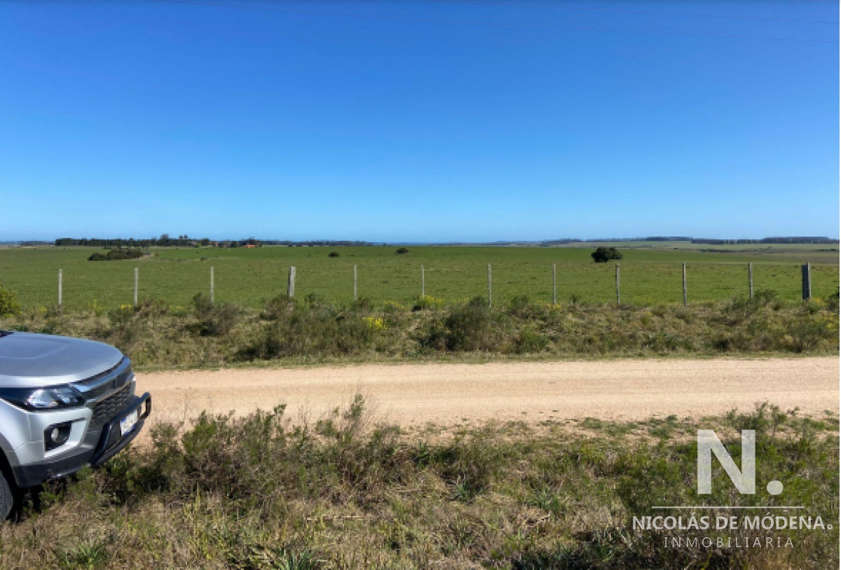 Campo grande en Rocha  Maldonado - GoPunta - Portal Inmobiliario de Punta del Este - Maldonado