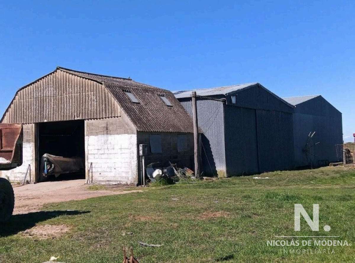Vende Campo de 2 padrones en Treinta y tres. - GoPunta - Portal Inmobiliario de Punta del Este - Maldonado