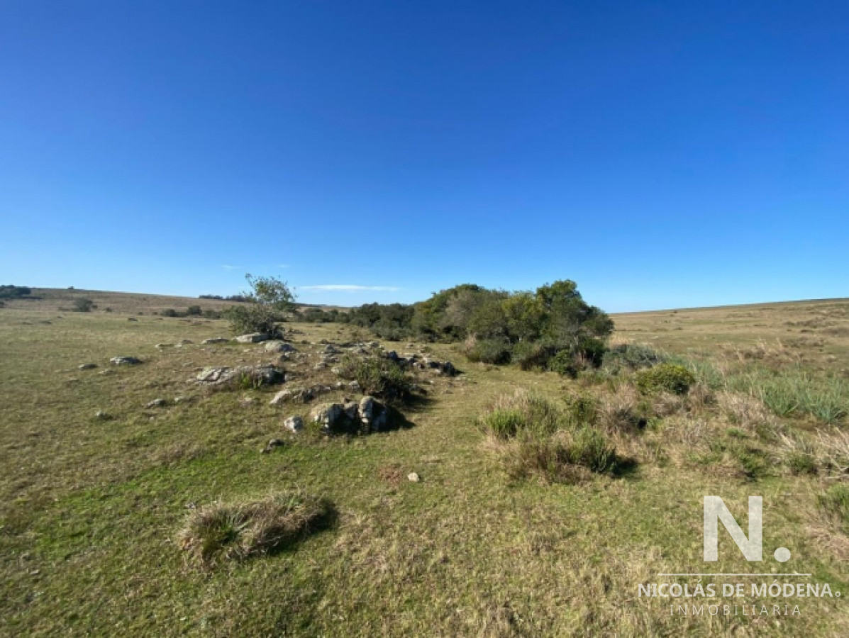 Ideal opcion de inversion, campo en Garzon - GoPunta - Portal Inmobiliario de Punta del Este - Maldonado
