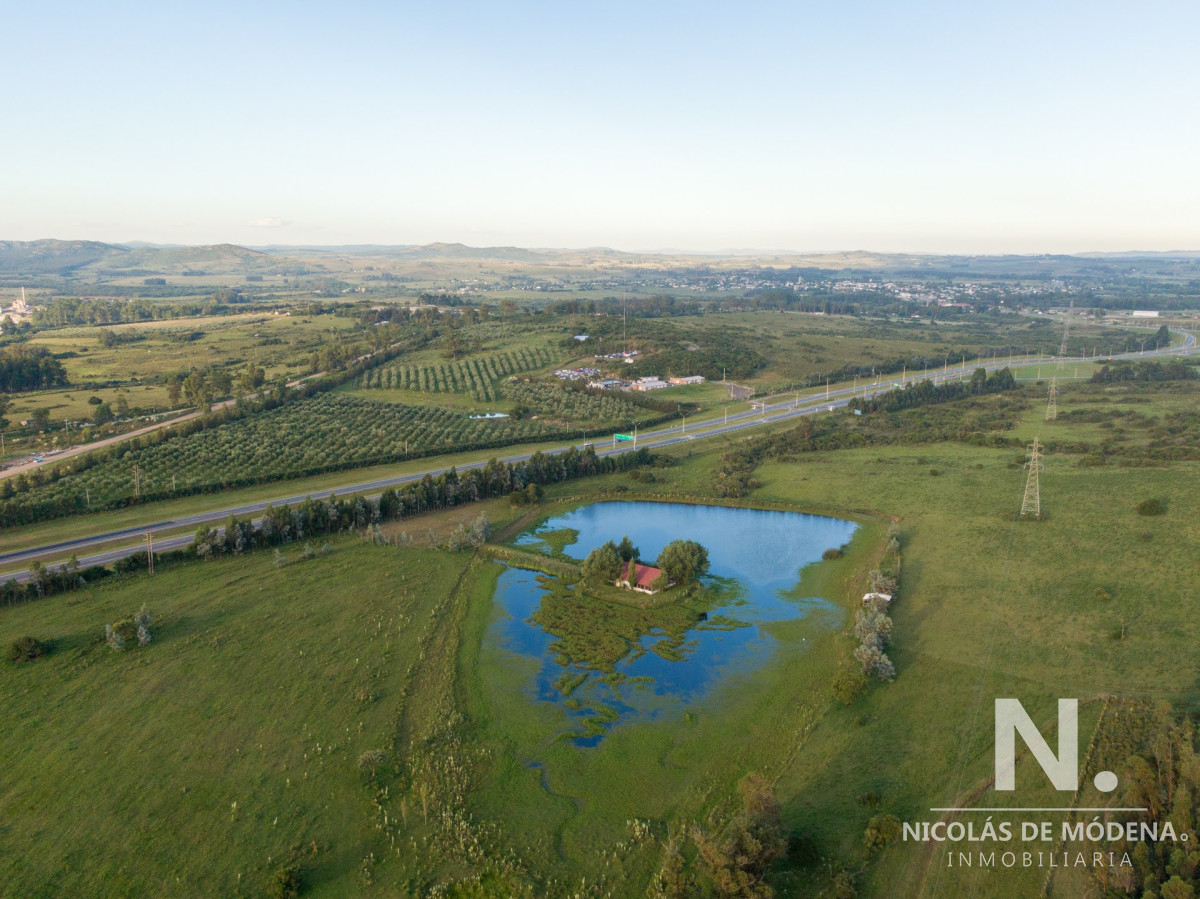 Chacras turisticas en falda de cerro en Piriapolis con hermosas vistas - GoPunta - Portal Inmobiliario de Punta del Este - Maldonado