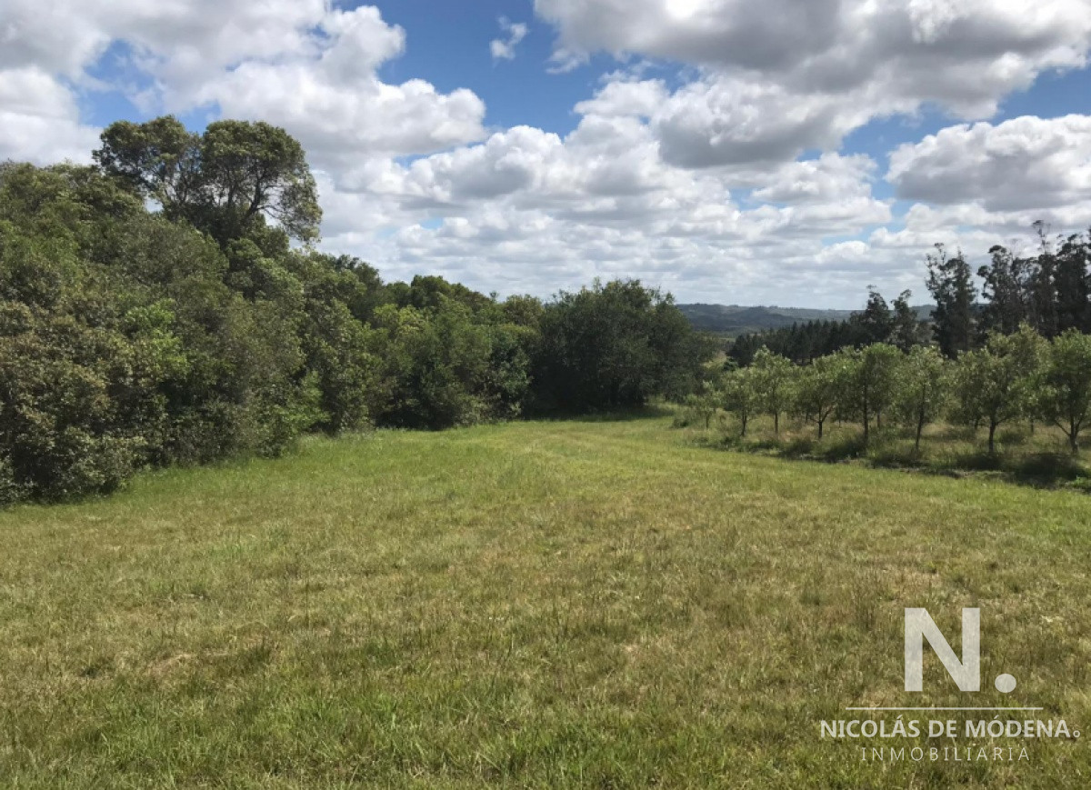 Chacra en Venta en Pueblo Eden , Maldonado - GoPunta - Portal Inmobiliario de Punta del Este - Maldonado