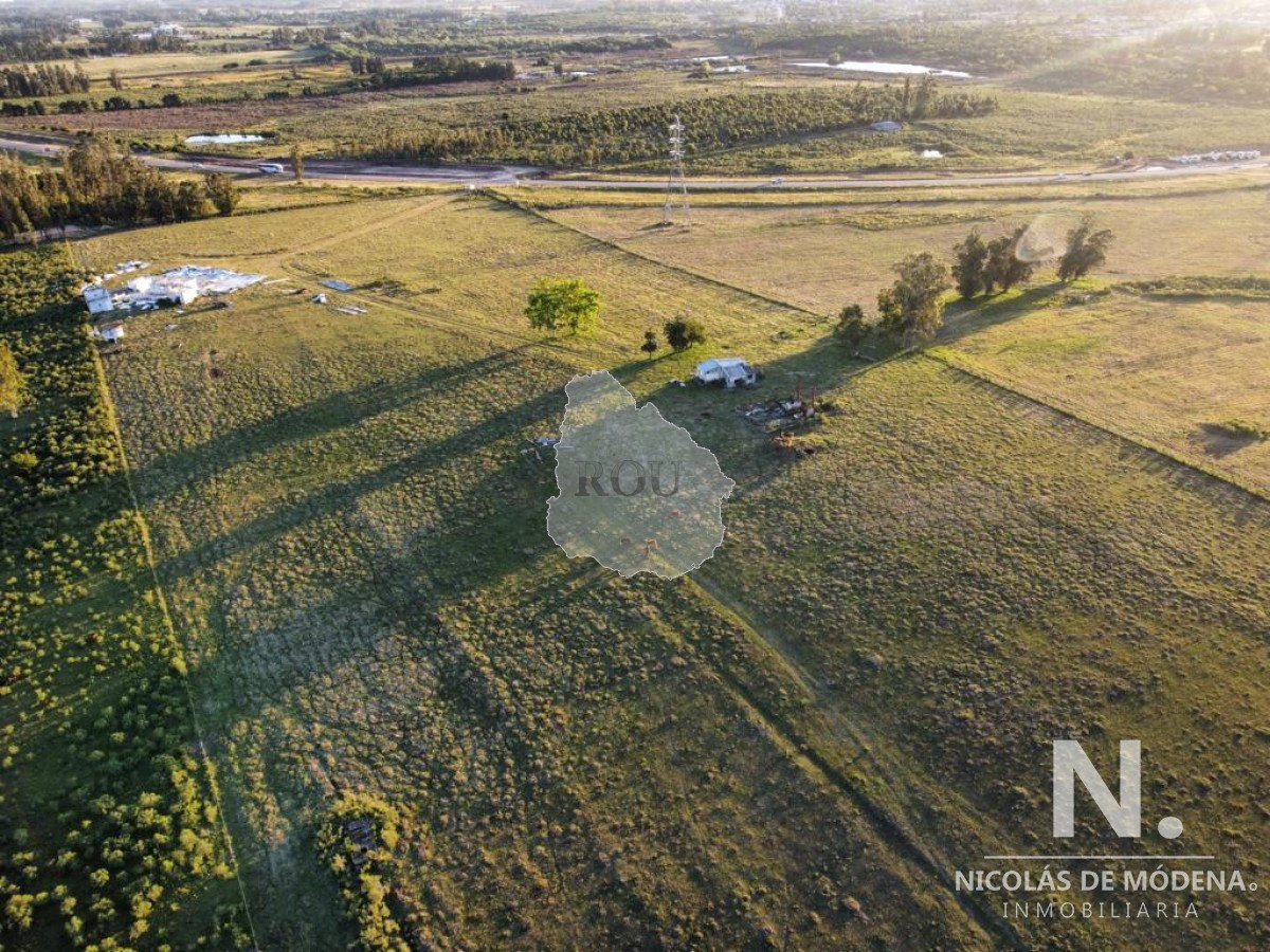 Vende campo de 4000m2 cerca de San Carlos - GoPunta - Portal Inmobiliario de Punta del Este - Maldonado