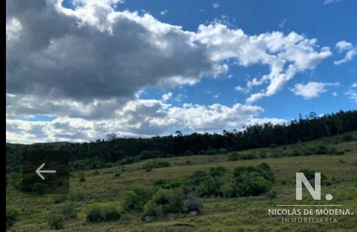 Campo en Maldonado , Aigua, 39 Hectáreas - GoPunta - Portal Inmobiliario de Punta del Este - Maldonado