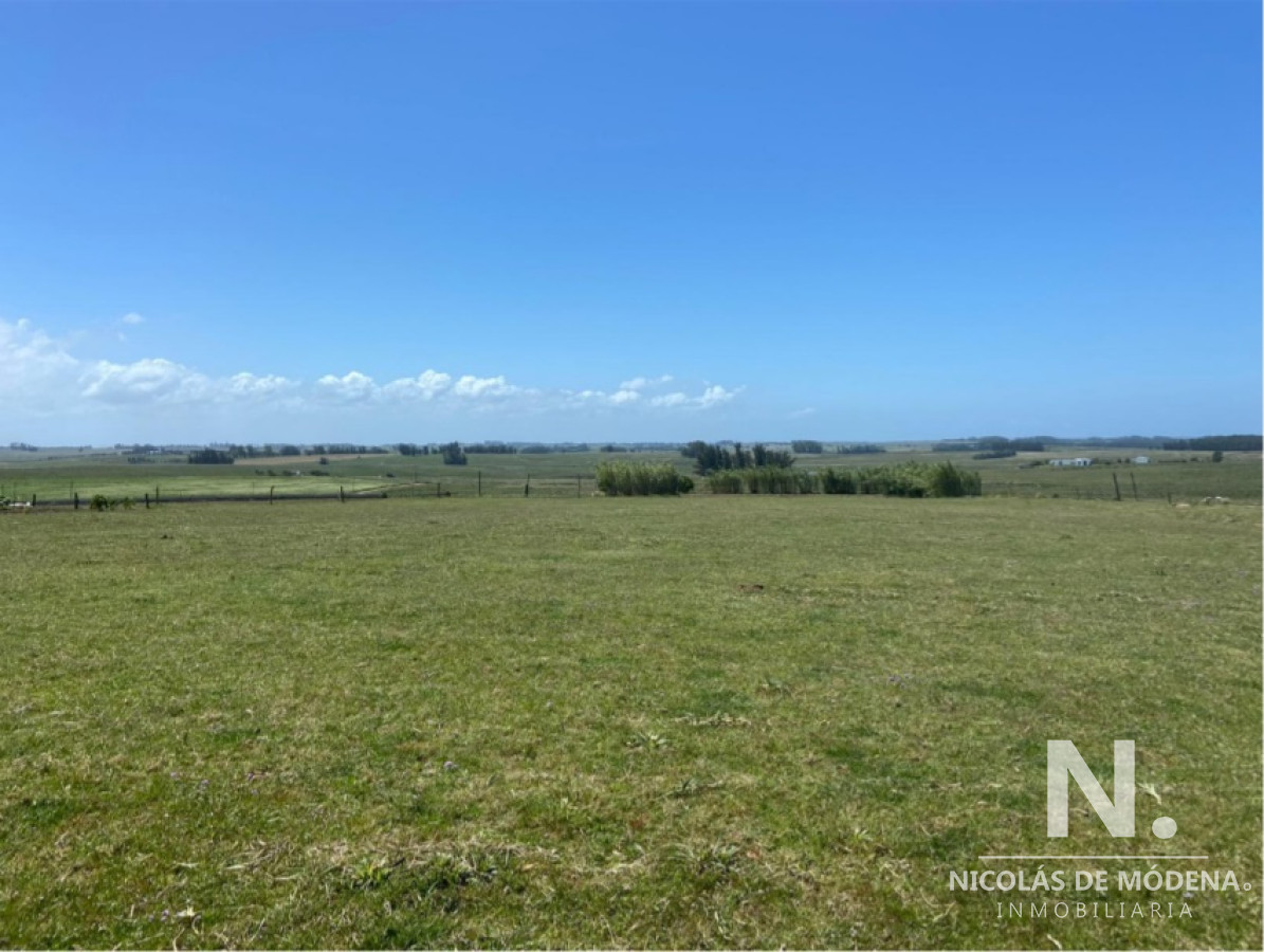 Campo en Manantiales - GoPunta - Portal Inmobiliario de Punta del Este - Maldonado