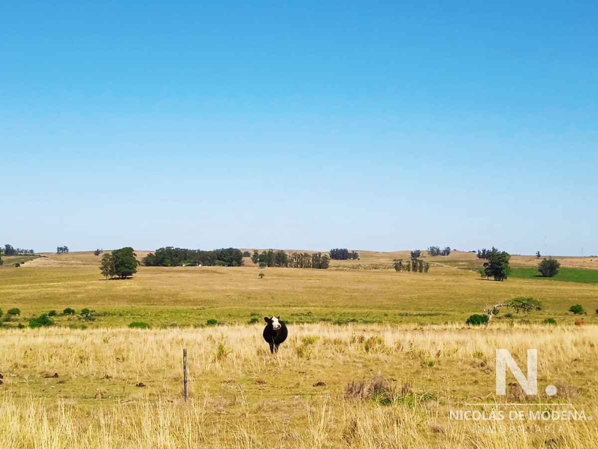 Campo en Jose Ignacio, - GoPunta - Portal Inmobiliario de Punta del Este - Maldonado