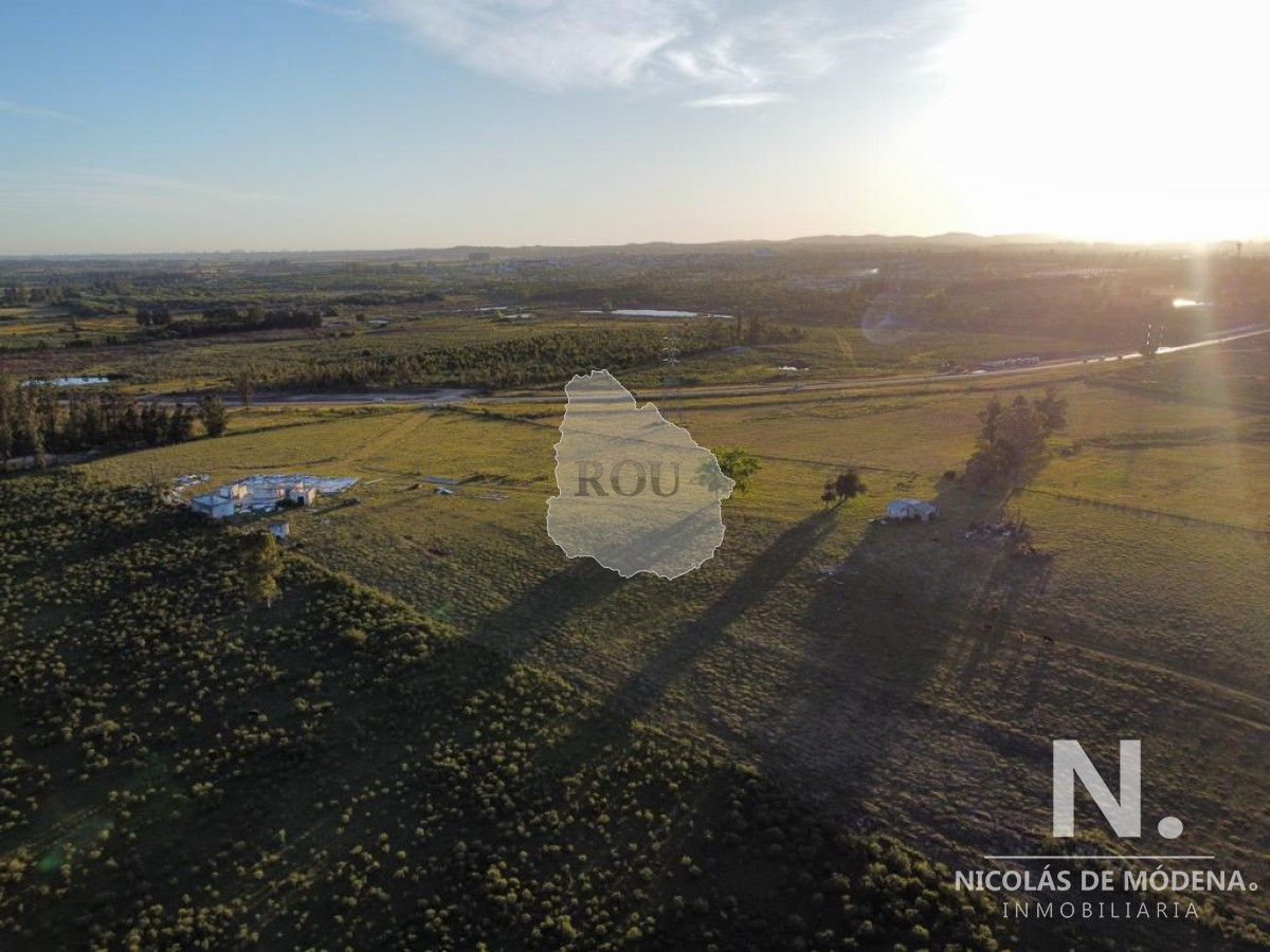 Vende campo de 4000m2 cerca de San Carlos - GoPunta - Portal Inmobiliario de Punta del Este - Maldonado