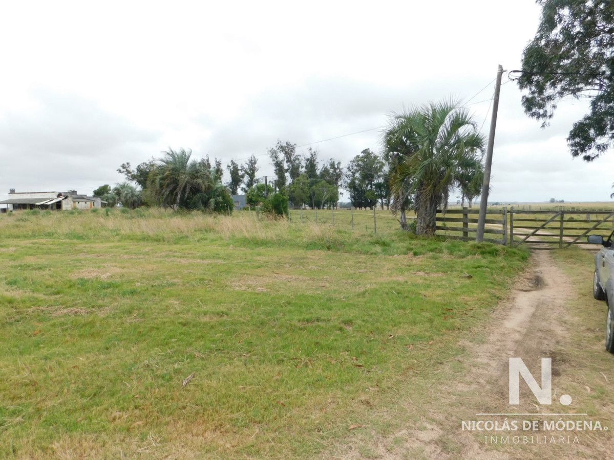 Campo en Maldonado   Ruta 9 - GoPunta - Portal Inmobiliario de Punta del Este - Maldonado
