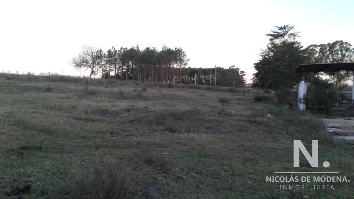 Campo próximo a ruta 12 - GoPunta - Portal Inmobiliario de Punta del Este - Maldonado