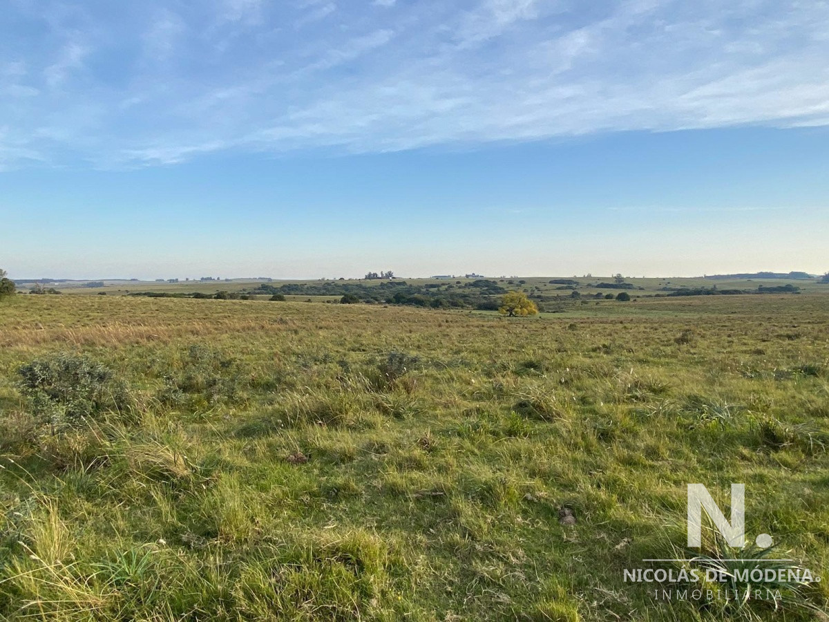 Campo en José Ignacio - GoPunta - Portal Inmobiliario de Punta del Este - Maldonado