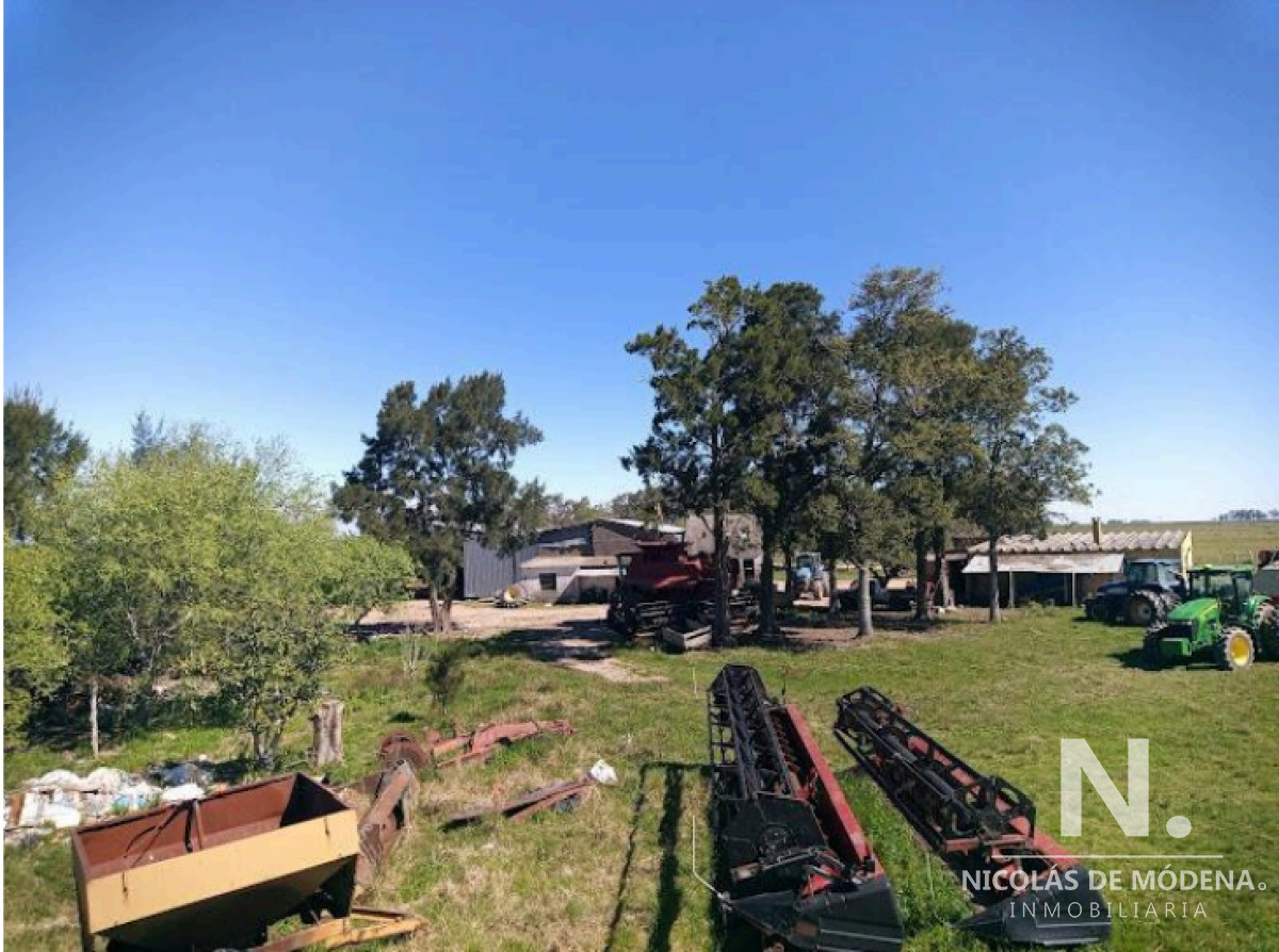 Vende Campo de 2 padrones en Treinta y tres. - GoPunta - Portal Inmobiliario de Punta del Este - Maldonado