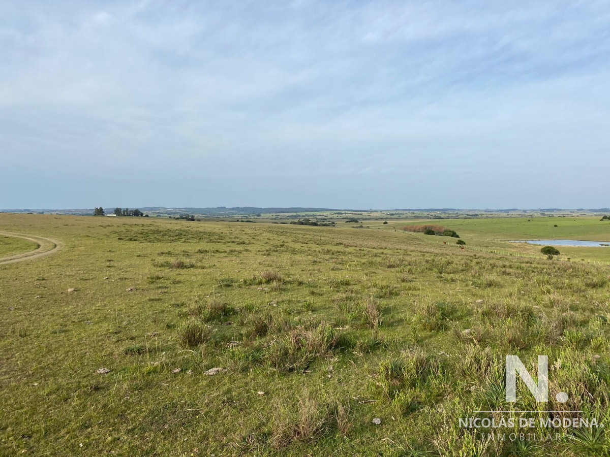 Campo en José Ignacio - GoPunta - Portal Inmobiliario de Punta del Este - Maldonado