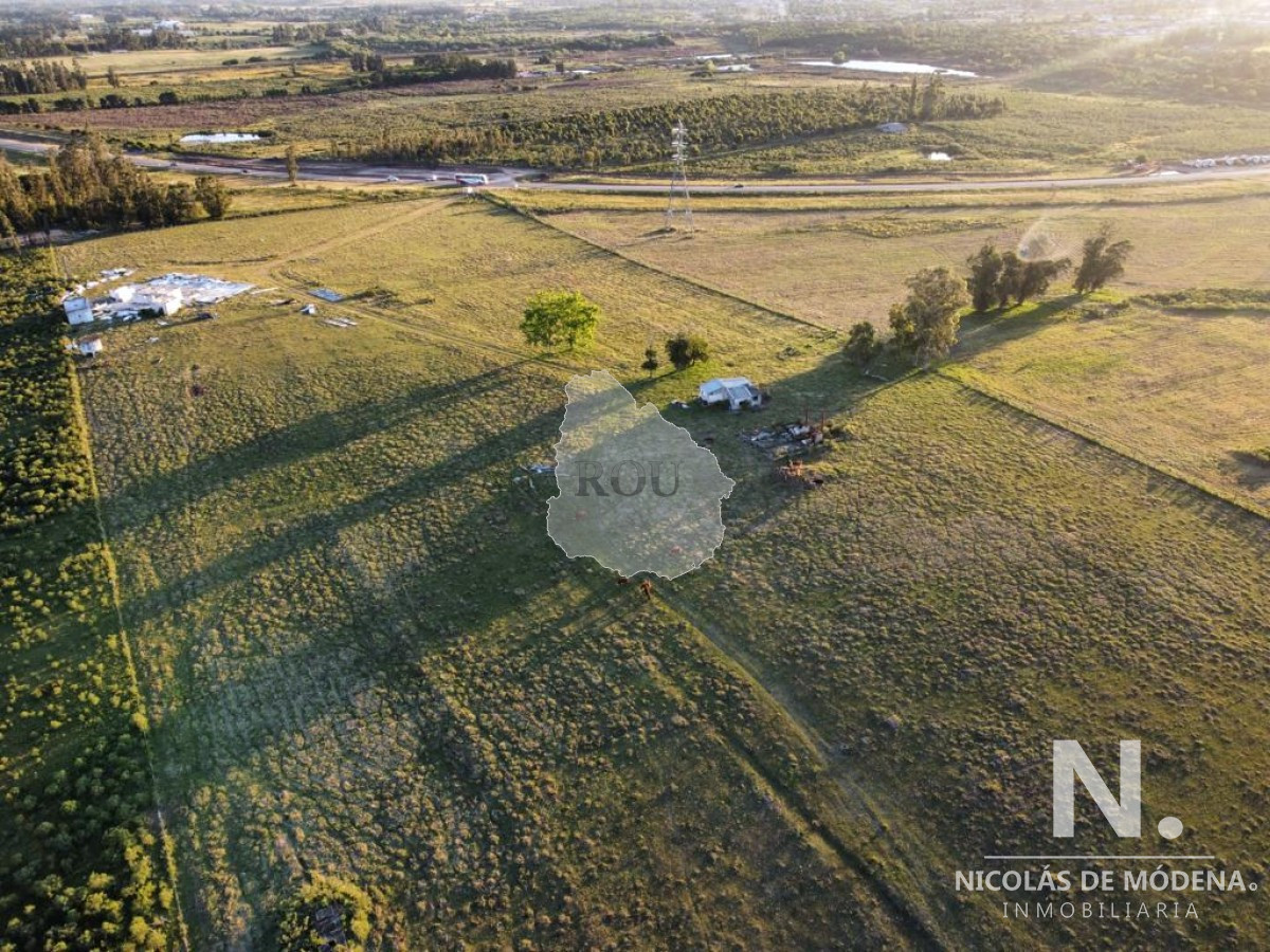 Vende campo de 4000m2 cerca de San Carlos - GoPunta - Portal Inmobiliario de Punta del Este - Maldonado