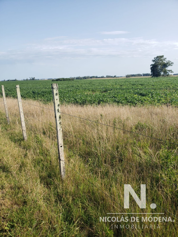 Campo Agrícola - GoPunta - Portal Inmobiliario de Punta del Este - Maldonado