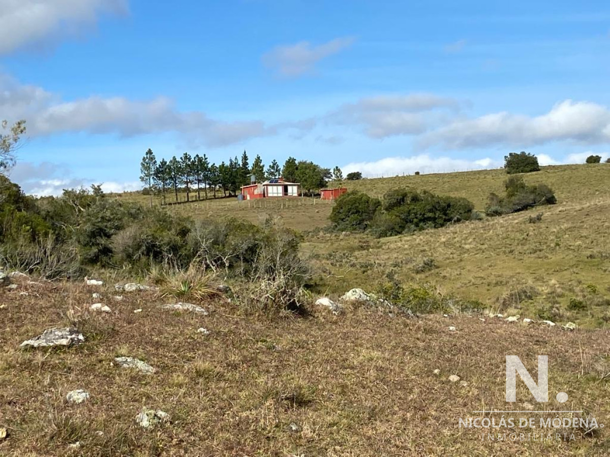 Mataojo - GoPunta - Portal Inmobiliario de Punta del Este - Maldonado
