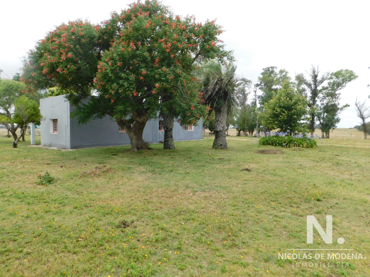Campo en Maldonado   Ruta 9 - GoPunta - Portal Inmobiliario de Punta del Este - Maldonado