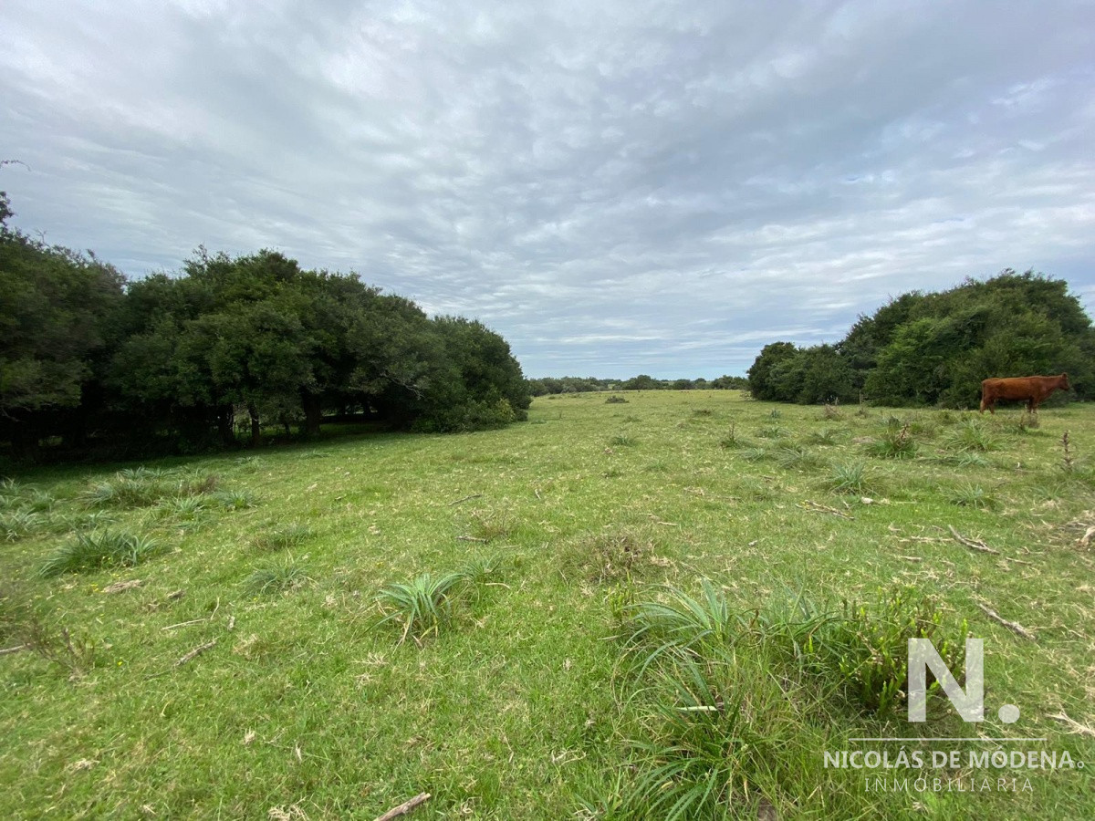 Gran oportunidad de Campo. - GoPunta - Portal Inmobiliario de Punta del Este - Maldonado