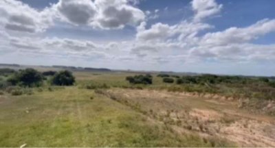 Vende Gran campo Ganadero- Forestal