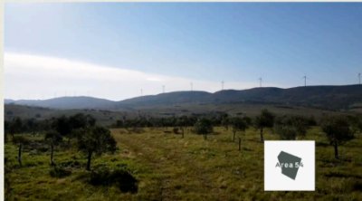 En venta excelente campo Olivícola de 54Has en Sierra de los Caracoles.