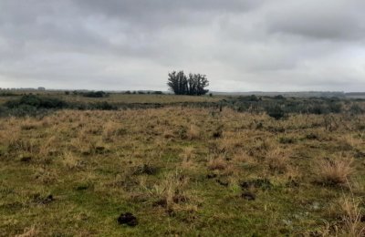  Campo en Maldonado - Garzon en venta.