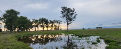 En venta campo en Treinta y Tres, ubicado a 12 kilómetros de Vergara