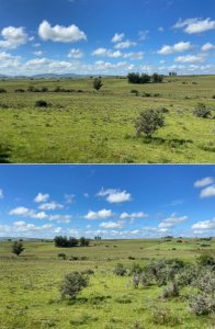 Campo ganadero en Pueblo Edén 40has