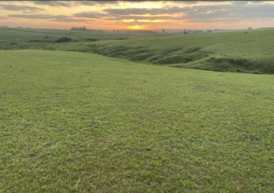 Vende excelente campo en  Jose Ignacio, ideal para fin turistico