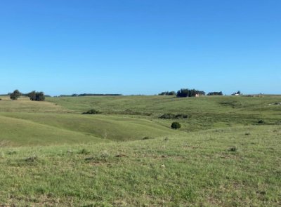 Campo en Venta en Garzón , Maldonado 