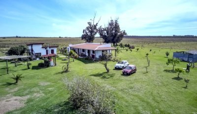Vende campo de 50 hectareas, con casa en Capilla de Cella.