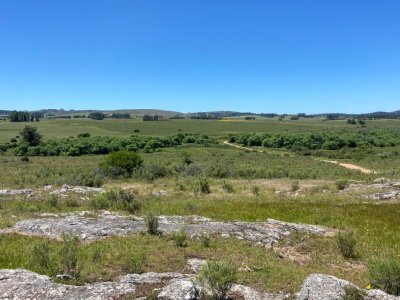 Campo a la venta en Abra del Perdomo  de 44has
