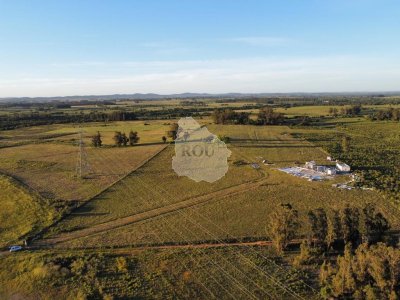 Vende campo de 4000m2 cerca de San Carlos