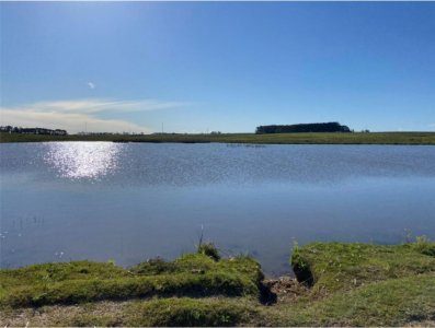 Gran campo en Maldonado 