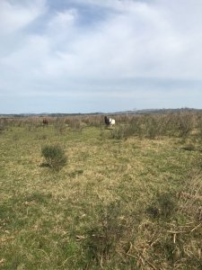 Campo en Abra del Perdomo, Maldonado