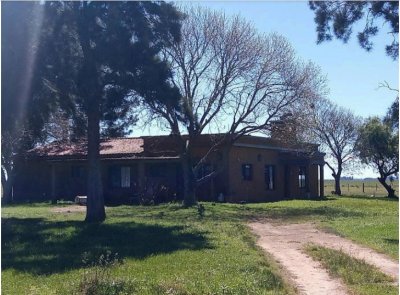 Vende Campo de 2 padrones en Treinta y tres.