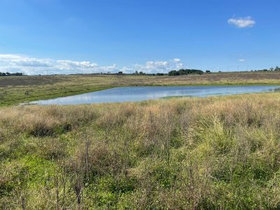 Campo en venta en hermosa zona