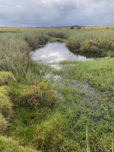 Vende Campo en Ruta 104. Punta del Este 