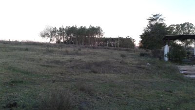 Campo próximo a ruta 12
