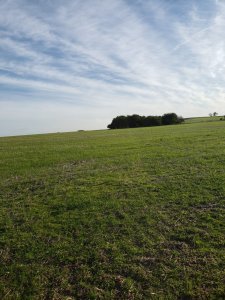 Campo Agrícola 