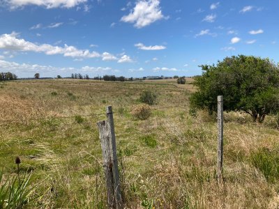 Campo en venta de 10 hectáreas.